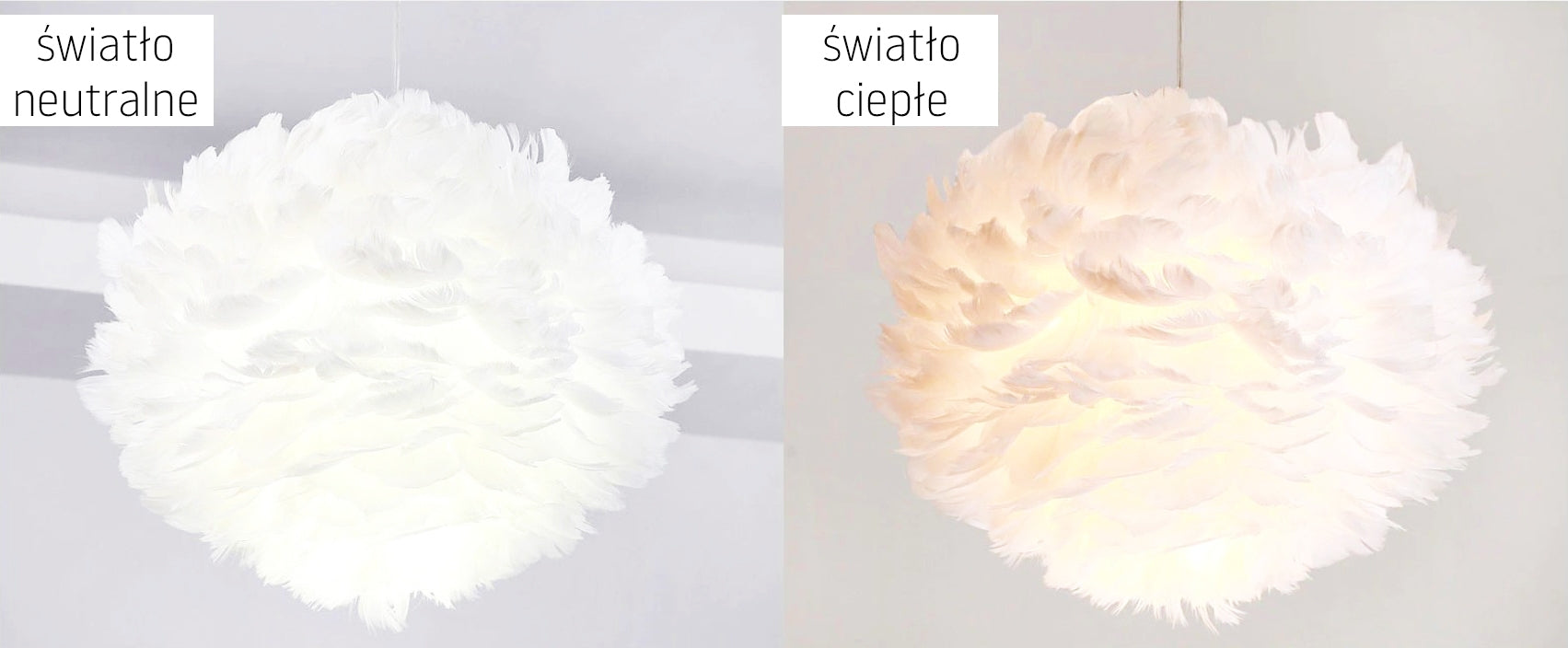 Lampa Wisząca Z Piór APP335-3CP Biała  2