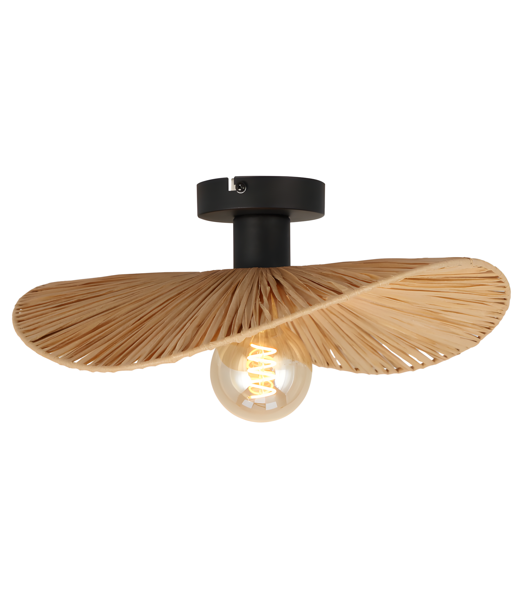 Lampa Sufitowa APP1827-1CP Nature Black  1