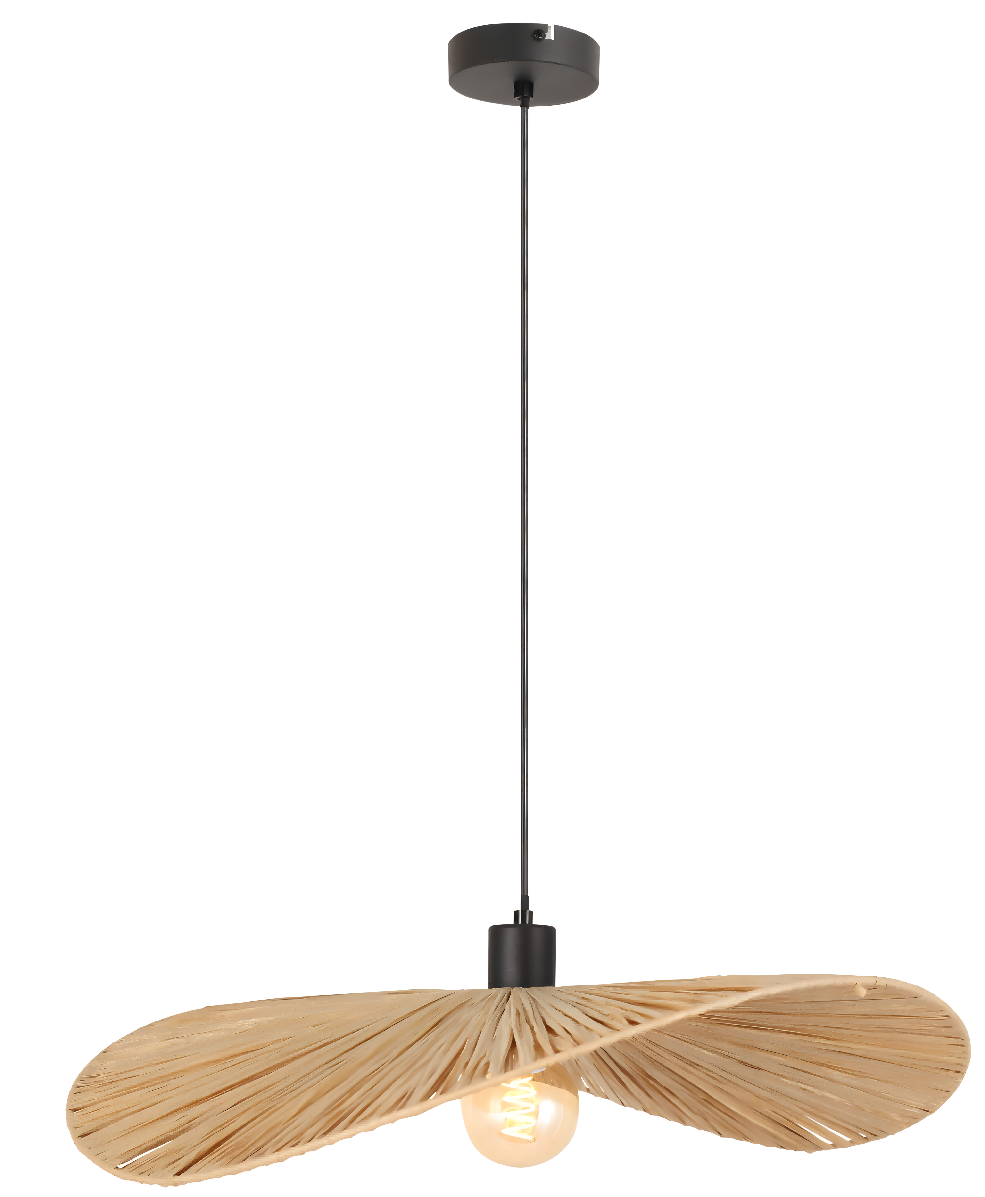 Lampa Sufitowa Wisząca APP1826-1CP Nature Black  1
