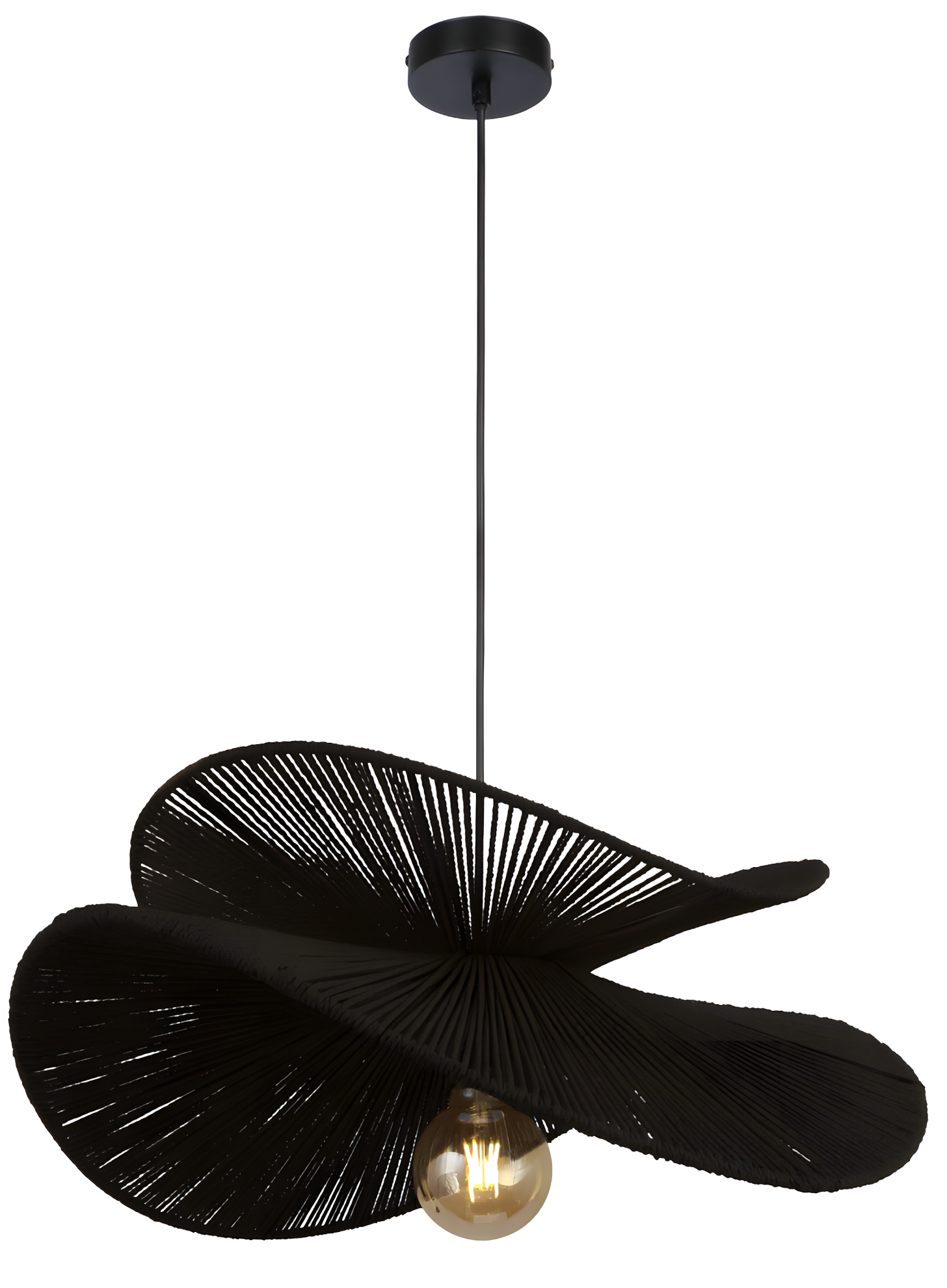 Lampa Sufitowa APP1833-1CP Black  1